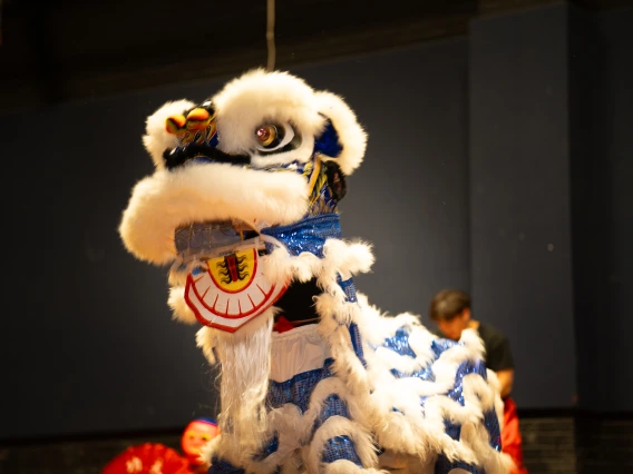 talent show images