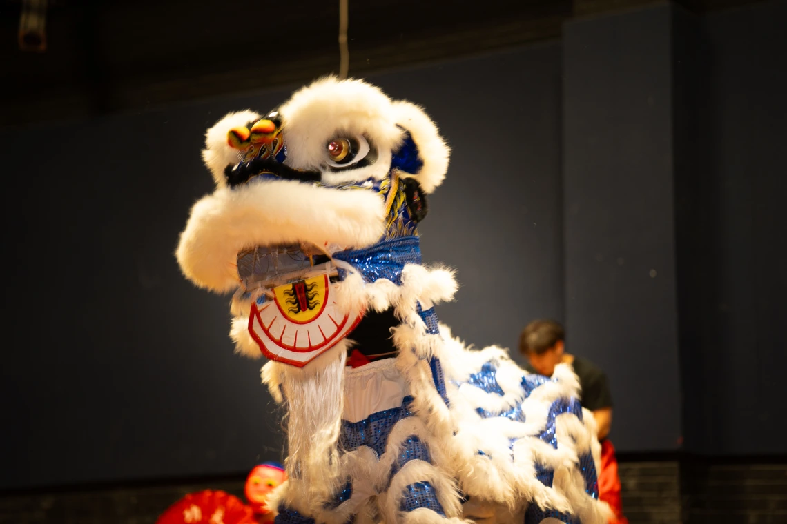 talent show images